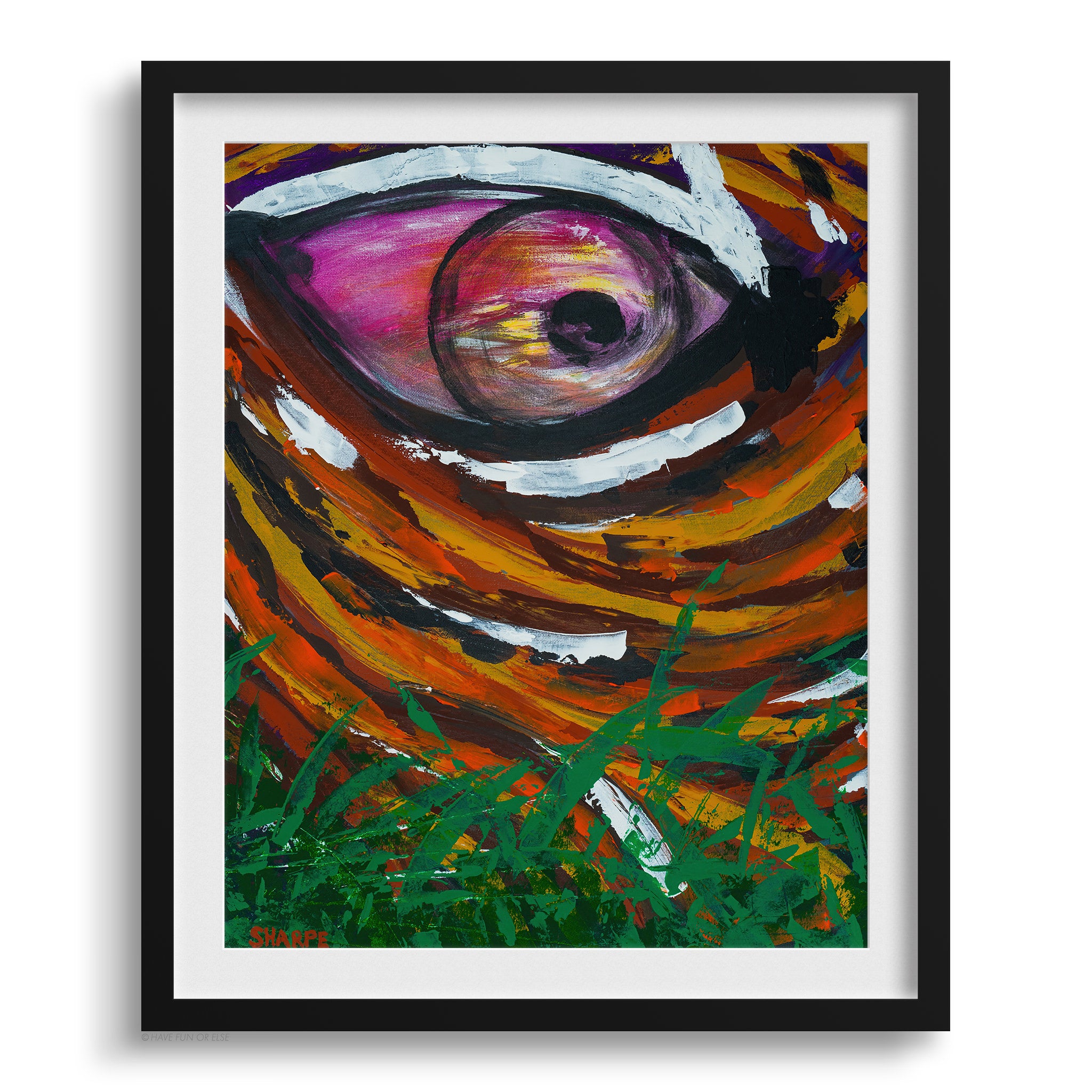 Doug Sharpe Eye Of The Tiger Abstract Art Print Black Frame
